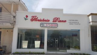 cursos florista online barranquilla floristeria y distribuidora diana