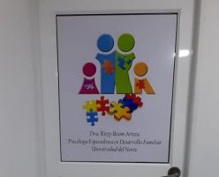 cursos inteligencia emocional en barranquilla Ritzy Elena Boom Arteta