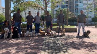 adiestradores caninos en barranquilla Between Canines