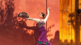 clases baile latino barranquilla Estudio Flamenco Barranquilla