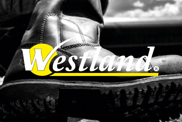 fabricas calzado barranquilla Westland Barranquilla 2