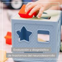 Trastornos del neurodesarrollo