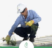 empresas limpieza domestica barranquilla Seppsa Fumiespecial - punto limpio, Fumigacion, control de plagas